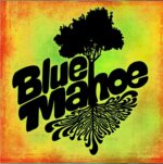 BLUE MAHOE – Blue Mahoe